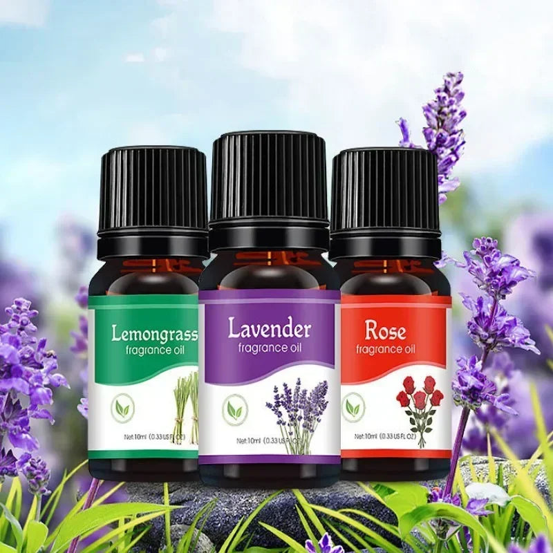 S27de50f7cdd14b5b846421ae13c1a2355