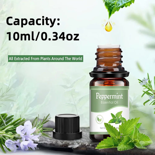 Sc6df80d5bd3b4e1eaccdf49e95939760P